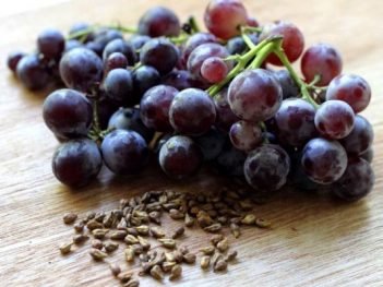 Health Benefits of Grape Seed Extract