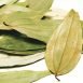 Health Benefits of Indian Bay leaf