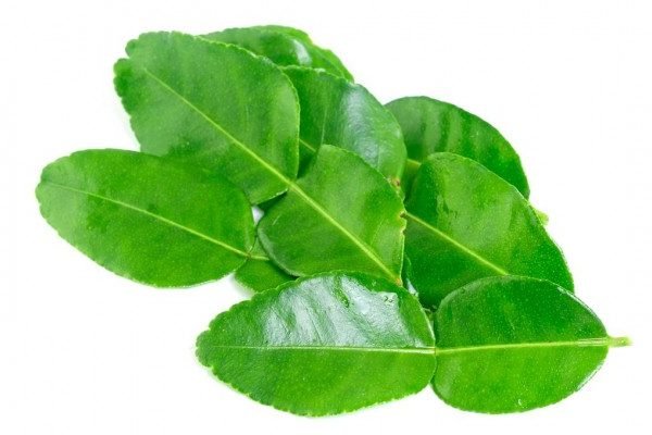 Health Benefits of Kaffir Lime Leaves