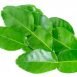 Health Benefits of Kaffir Lime Leaves