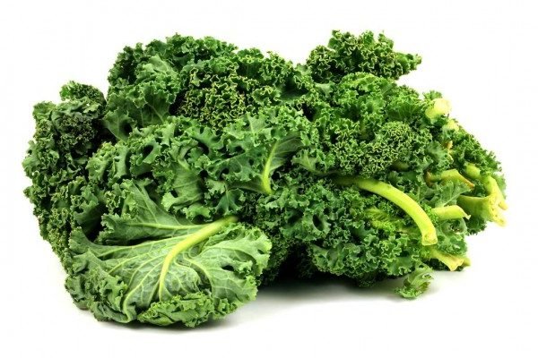 Health Benefits of Kale