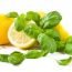 Health Benefits of Lemon Basil