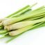 Health Benefits of Lemon Grass