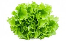 Health Benefits of Lettuce
