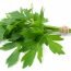 Health Benefits of Lovage