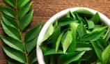 Health Benefits of Neem