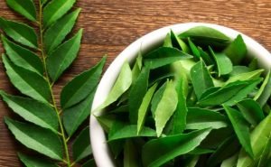 Health Benefits of Neem