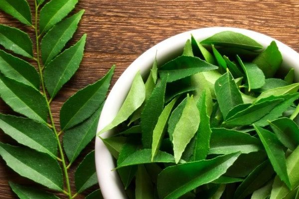 Health Benefits of Neem
