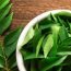 Health Benefits of Neem
