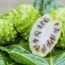 Health Benefits of Noni