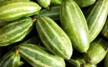 Health Benefits of Parbal