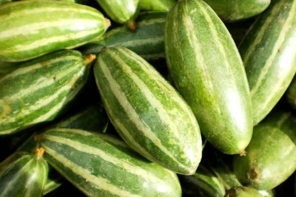 Health Benefits of Parbal