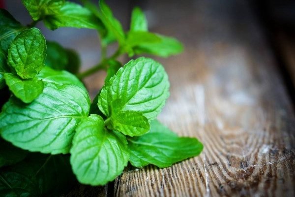 Health Benefits of Peppermint