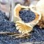 Health Benefits of Poppy Seeds