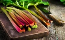 Health Benefits of Rhubarb