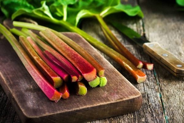 Health Benefits of Rhubarb