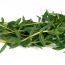 Health Benefits of Rice Paddy Herb