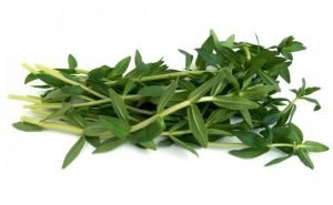 Health Benefits of Rice Paddy Herb
