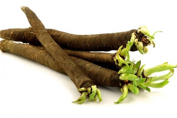 Health Benefits of Salsify