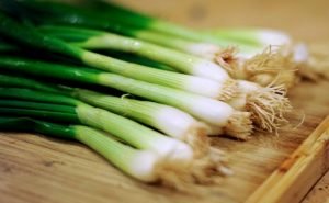Health Benefits of Scallion