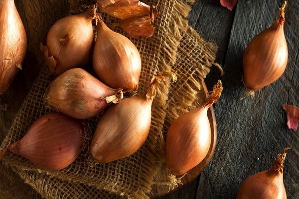 Health Benefits of Shallots