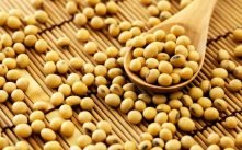 Health Benefits of Soybean
