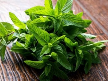 Health Benefits of Spearmint