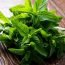 Health Benefits of Spearmint
