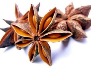 Health Benefits of Star Anise