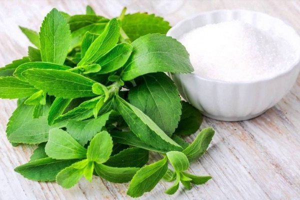 Health Benefits of Stevia