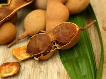 Health Benefits of Tamarind