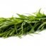 Health Benefits of Tarragon