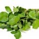 Health Benefits of Water Cress