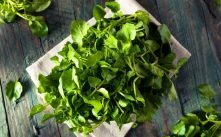 Health Benefits of Watercress