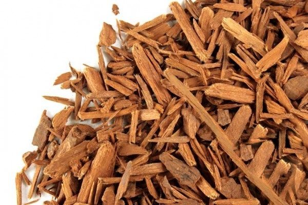 Health Benefits of Yohimbe
