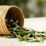 Herb Benefits of Curry Leaves