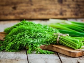 Herb benefits of Dill