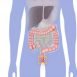 Homeopathic Medicines for Piles