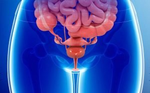 How do women develop prolapse condition?