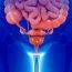 How do women develop prolapse condition?