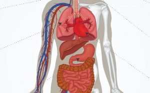 How does high blood pressure effect our body?