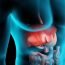 How does liver work in our body?