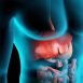 How does liver work in our body?