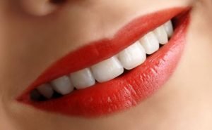 How many types of teeth do we have?