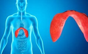 Is it necessary to keep checking the diaphragm?