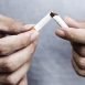 My friends smoke a lot and therefore I think, they get more colds than I do. Is it true?