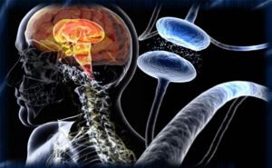 What are the causes of Parkinson's disease?