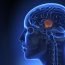 What does stroke affect the most?