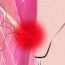 What is hernia?