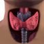 What is the importance of thyroid in our body?